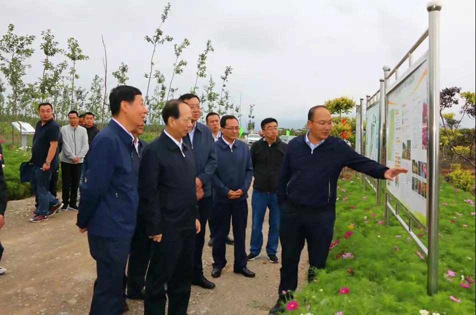 1562741871811278.jpg 5.jpg