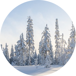 1671436729433846.png 微信圖片_20221219154442.png