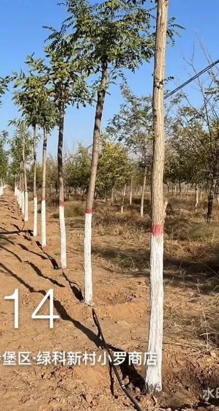 1671436802518231.jpg 微信圖片_20221219154831.jpg